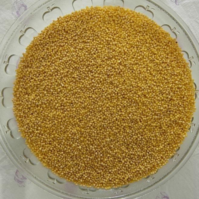 供应小米(黄小米)